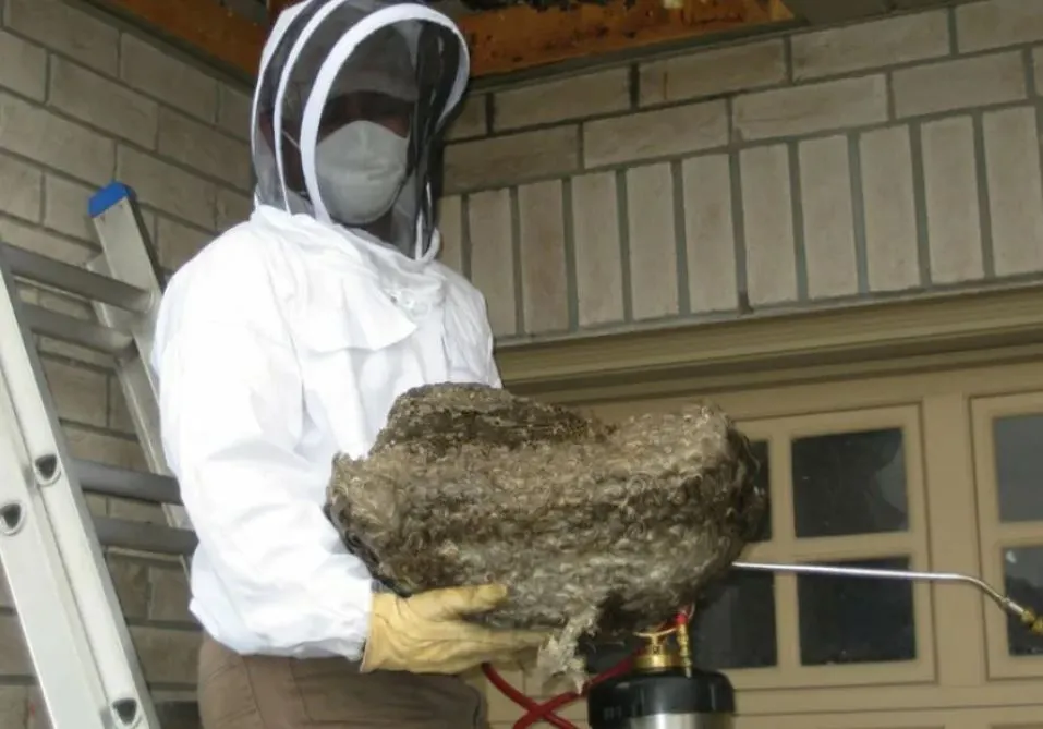 Septic Cleaning Icon