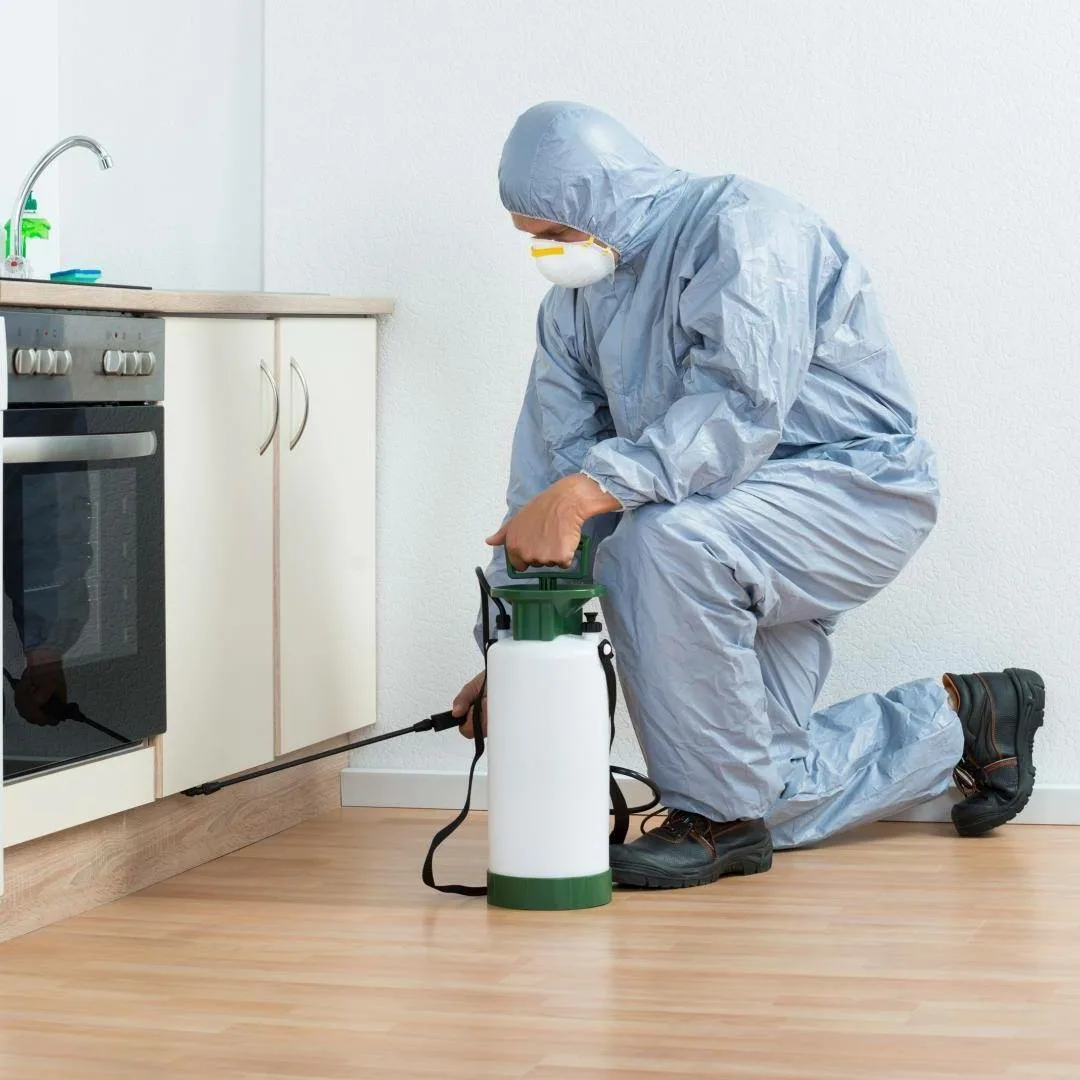 Kitchen Cleaning Icon